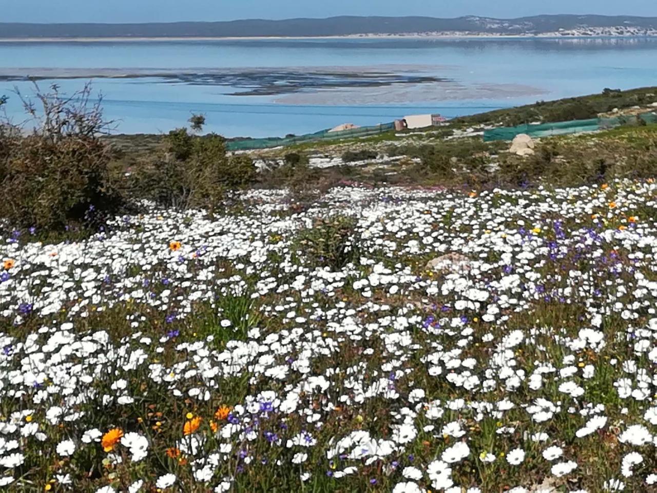 Perfect 10 - 10 To 13 Sleeper Luxury Holiday Home Breakage Deposit Of R2500 Per Weekend Lease Langebaan Exteriör bild
