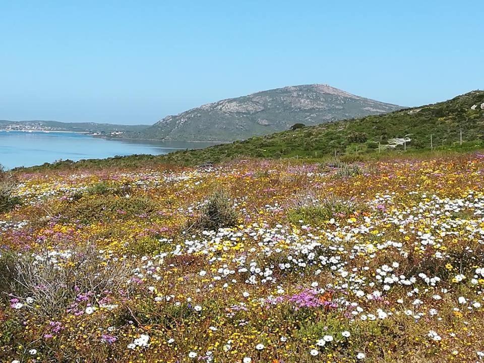 Perfect 10 - 10 To 13 Sleeper Luxury Holiday Home Breakage Deposit Of R2500 Per Weekend Lease Langebaan Exteriör bild