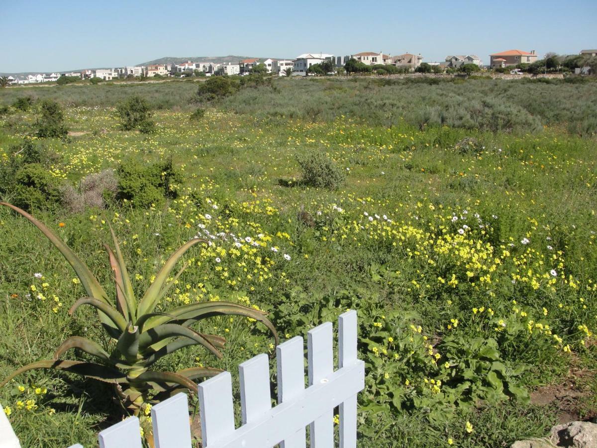Perfect 10 - 10 To 13 Sleeper Luxury Holiday Home Breakage Deposit Of R2500 Per Weekend Lease Langebaan Exteriör bild